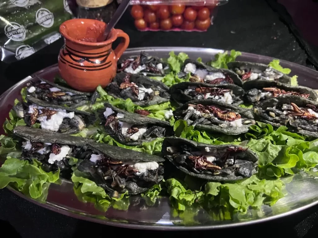 Tacos que están servidos en una bandeja, así se sirven los servicios de taquizas para eventos