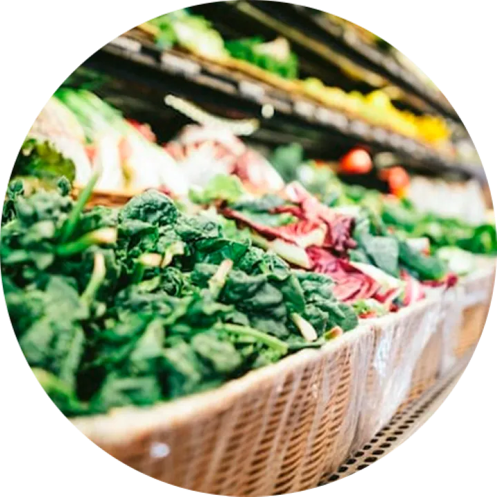 Selección de vegetales e ingredientes frescos de temporada para preparar banquetes para eventos gastronómicos.